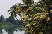 raj